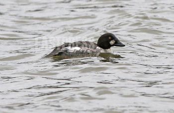 EA338883, Eastpress, Porvoo, Finland